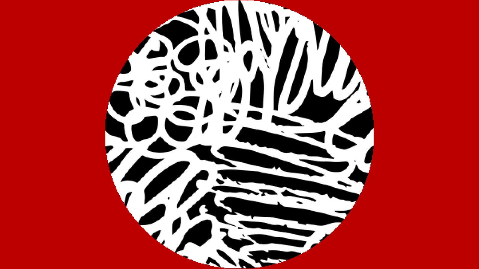 Red square with white curly lines on a black cirlce