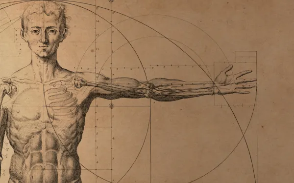 A historical photo of anatomy