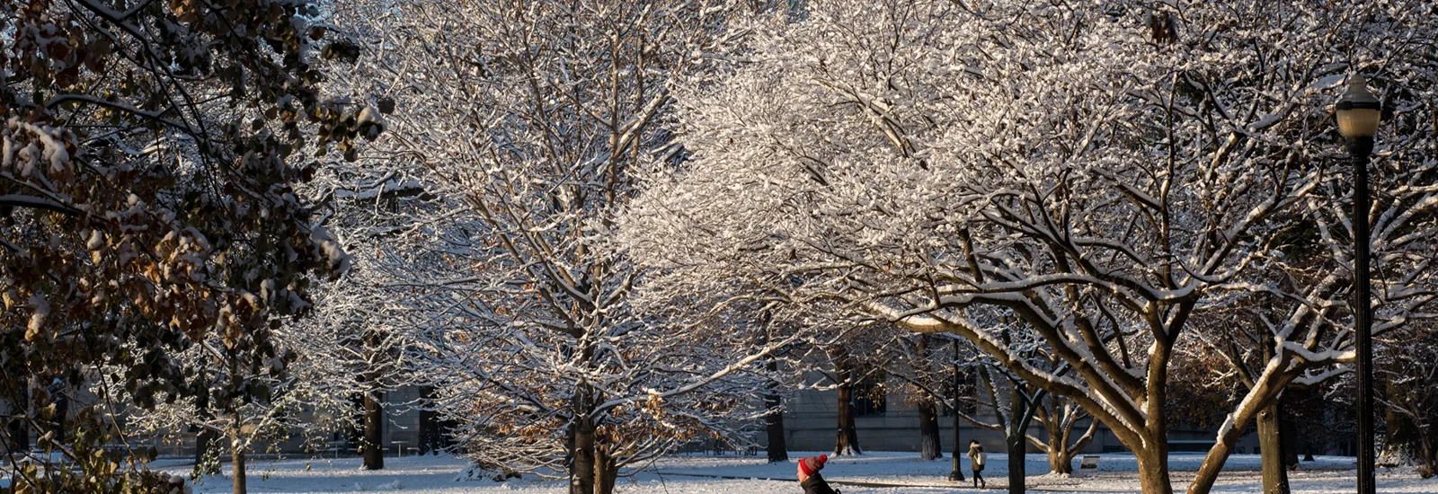A student strides across the snowy Oval, with snow-covered trees in the background