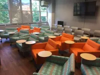 Lounge chairs set up in an arc